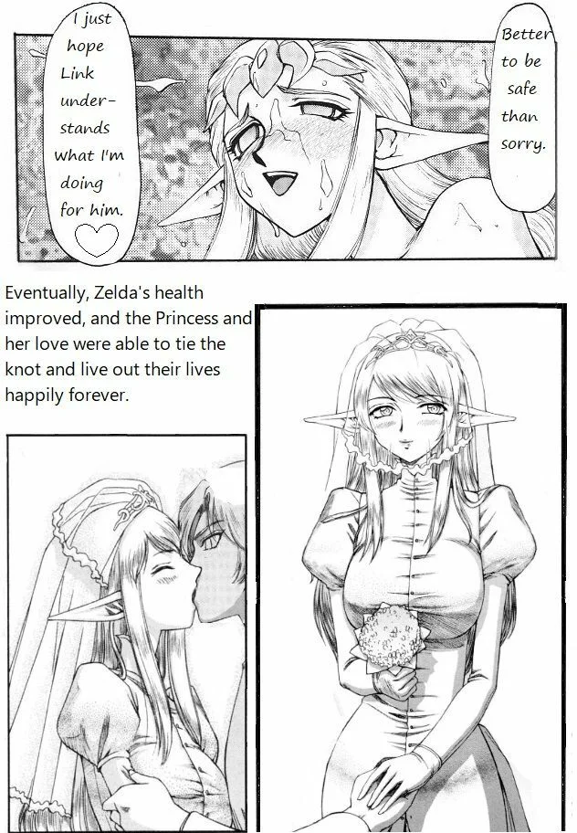 Portada del cómic Legend of Zelda; Zelda's Strive, con la princesa Zelda en primer plano. - Página 2